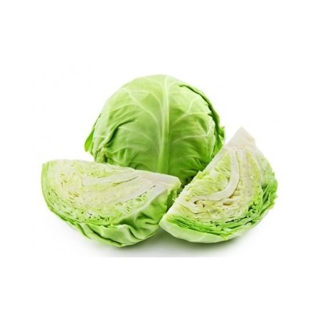 CAVOLO CAPPUCCIO FRESCO